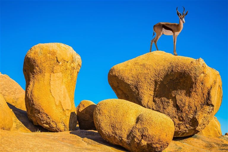 Sossusvlei ©Kushnirov Avraham/adobestock